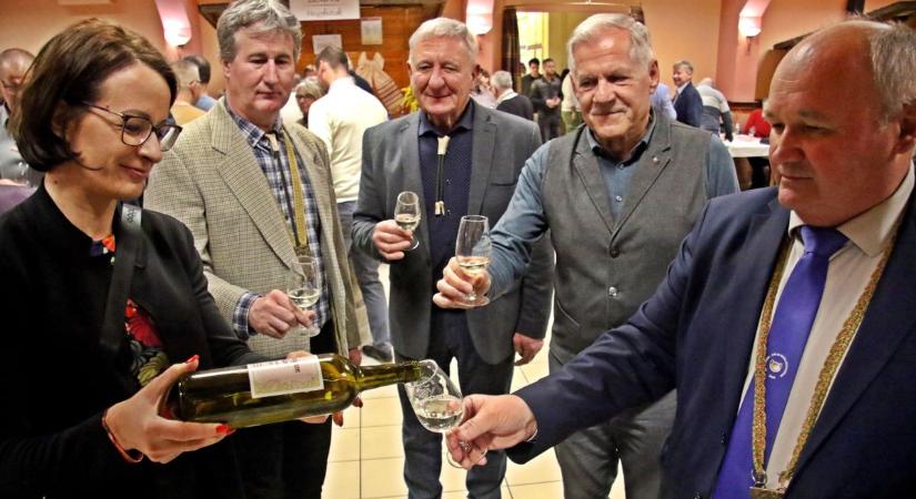 Drámai hír a borászoknak: több mint 200 ezer tőkét vitt el eddig a szőlővész Zalában (galéria)