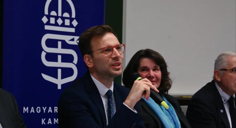 Politikai lojalitás, szakmai szempontok mellőzése: A MOK szerint összeomlóban van itthon a pszichiátriai ellátás