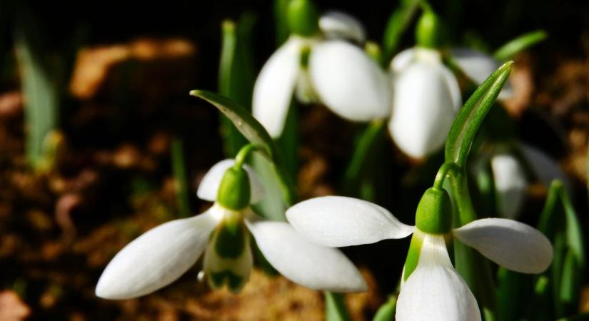 Csapadék és enyhülés jön