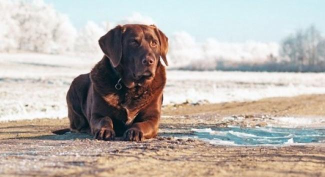 Időjárás-előrejelzés február első hetére - Enged szorításából a tél