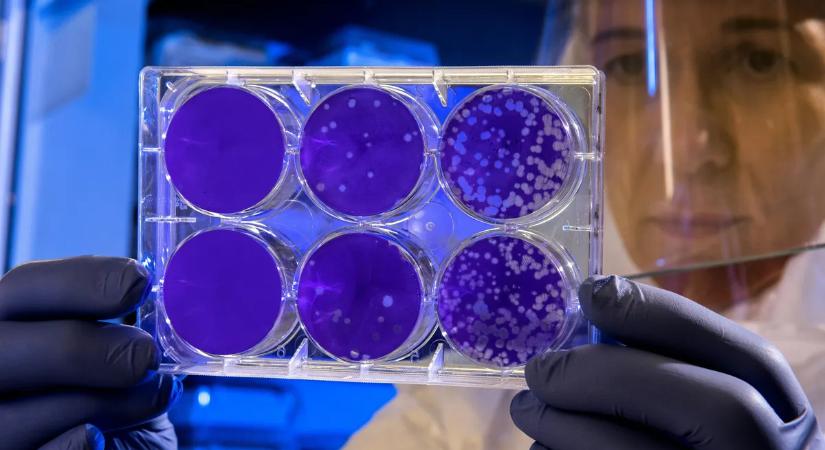 Súlyos vírus terjed – ezeknél a tüneteknél azonnal orvoshoz kell fordulni