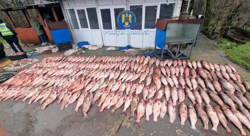 Több mint egy tonna illegális zsákmánnyal bukott le két orvhalász – hírmix