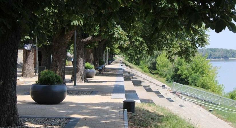 Az Év fasora lett a gesztenyesor, most gyerekrajzokon szeretnék viszont látni