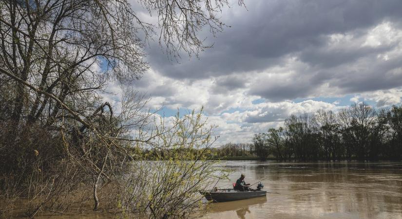 Uram, a magyar Tiszának vége legalább egy évtizedre! - fakadt ki az elkeseredett szakember