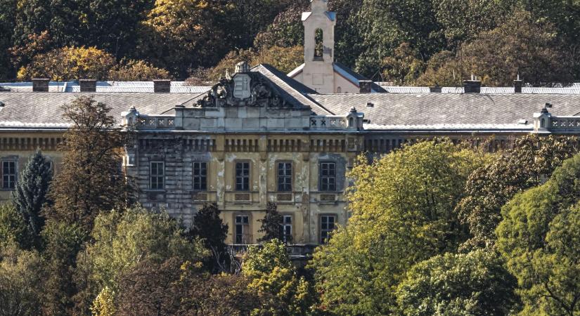 A MOK szerint politikai szempontok is rontják a pszichiátriai ellátás helyzetét Magyarországon