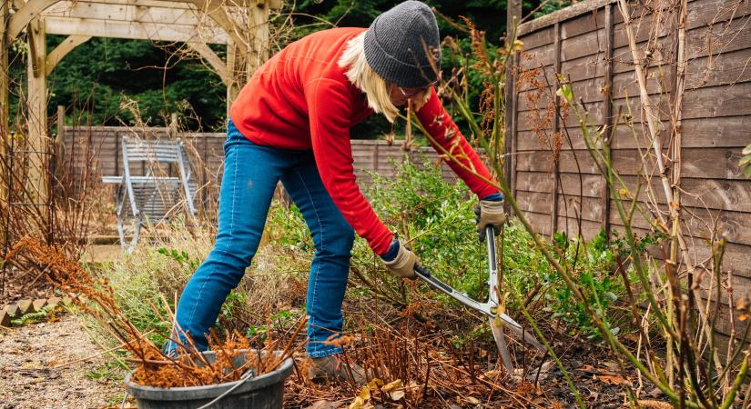Ezt a 3 dolgot minden kertésznek el kell végezni februárban