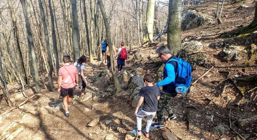 Túranaptár 2026: ezek lesznek a vármegye legjobb túrái