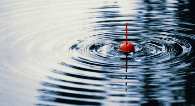 Ezen a képrejtvényen szinte mindenki elbukik: te rájössz, hogyan kell kifogni a halat?