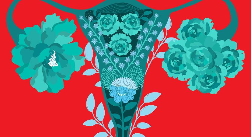 Most én jövök! – Tabuk nélkül a változókorról