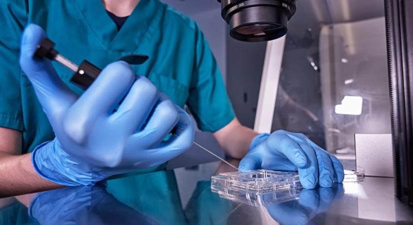 Fehér szülők, fekete gyermek: súlyos hibát vétettek egy floridai meddőségi klinikán