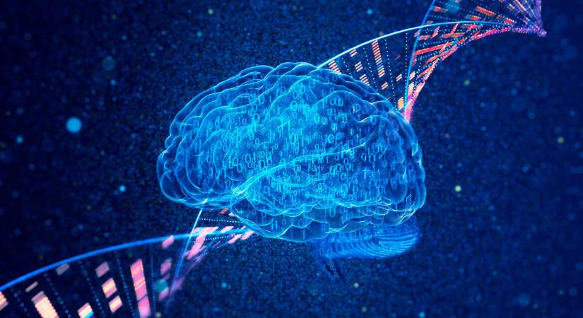 Egy tőről fakadhat a rák és az Alzheimer-kór, meglepő összefüggést vettek észre a kutatók