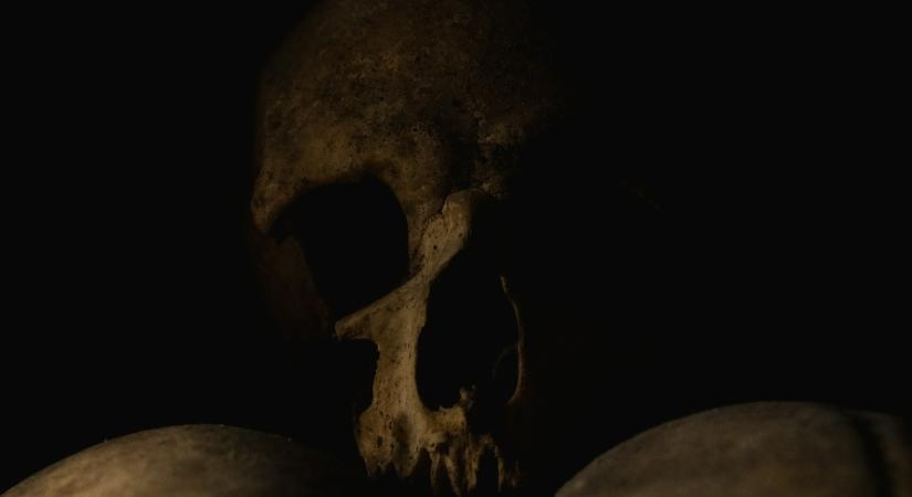 Emberi koponya került elő David Attenborough kertjéből, évszázados rejtély kulcsának bizonyult