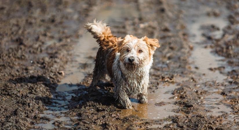 3 napos időjárás: Bosszantó hozadéka lesz a hét eleji enyhülésnek