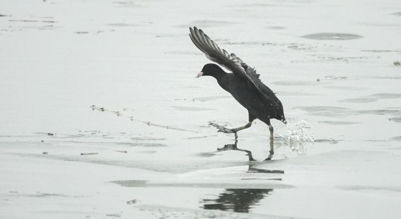 Veszprémben újra télies fordulat jön – Nézd meg, mire számíthatsz mai időjárásban! (képekvideó)