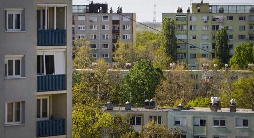 Nem a szomszéd őrült meg: a panelhangok valódi oka sokkoló