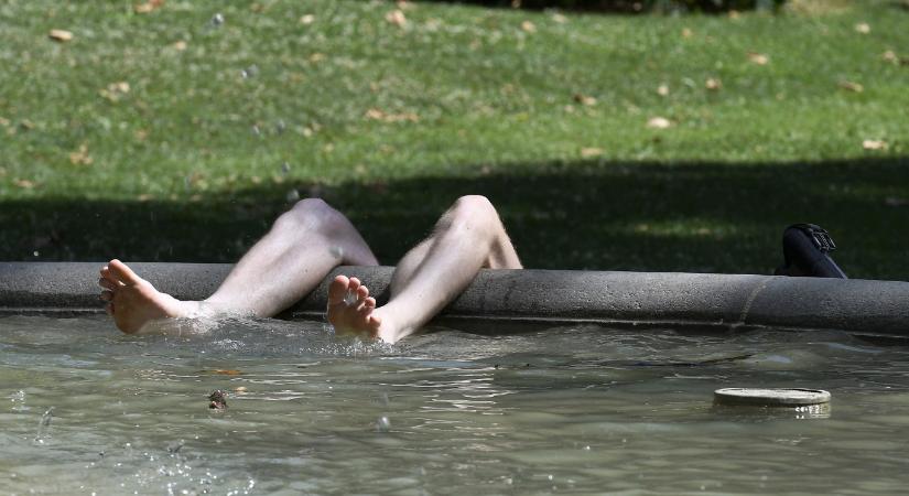 Nem kell sokat várnunk a februári tavaszra, szerdán már 13 fok lesz