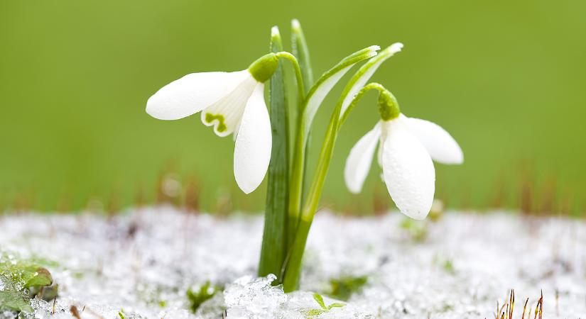 Hóval kezd a hét, tavasszal zár – óriási lesz a hőingás
