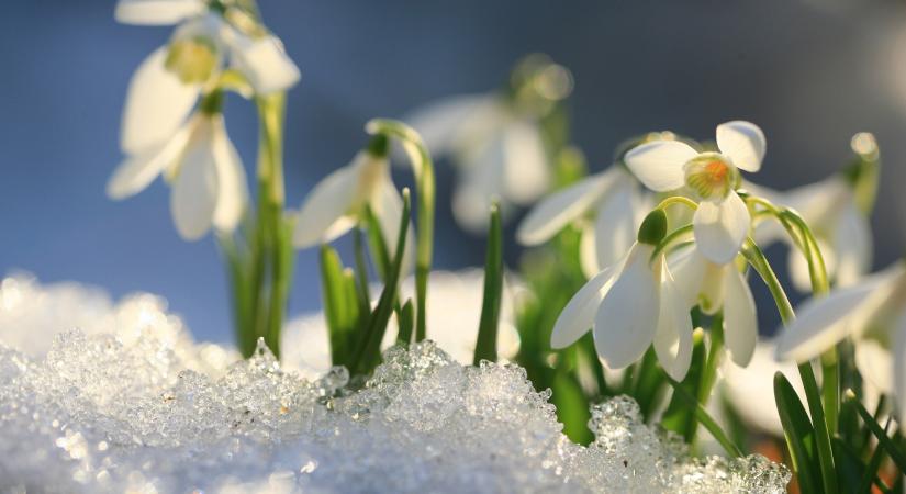 Nagyot változik az időjárás: szinte máris beköszönt a tavasz