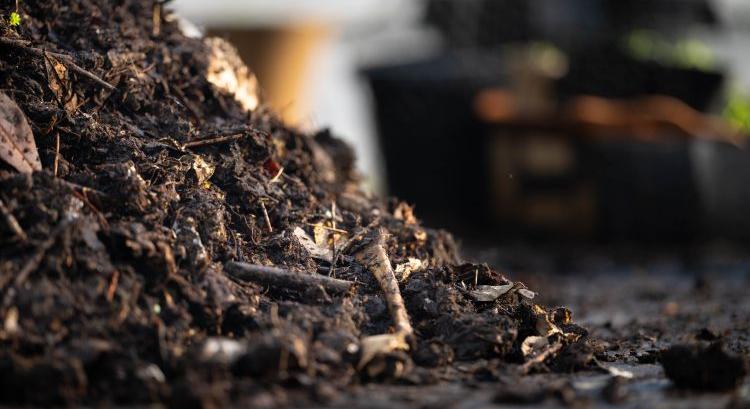 A talaj élőlényei a gondos gazda legfontosabb szövetségesei