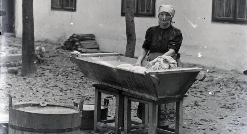 A mosónők korán halnak, az erdészek sokáig élnek