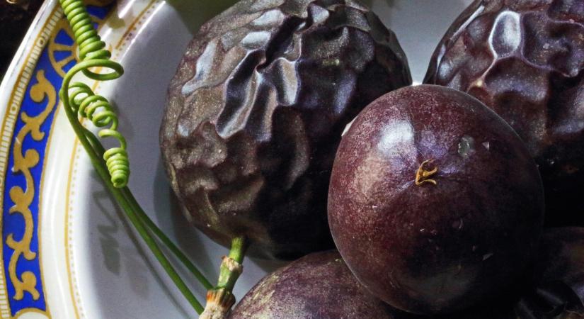 Tényleg erősíti az immunrendszert a passiógyümölcs?