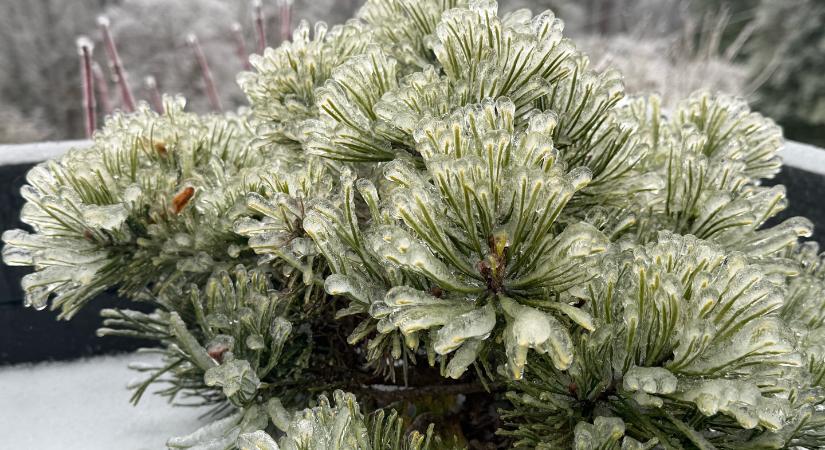 Bombaciklon az Egyesült Államokban: Dőlnek a hidegrekordok