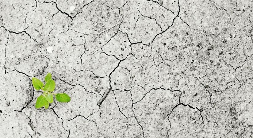 Veszélyesen gyorsul a Föld felmelegedése