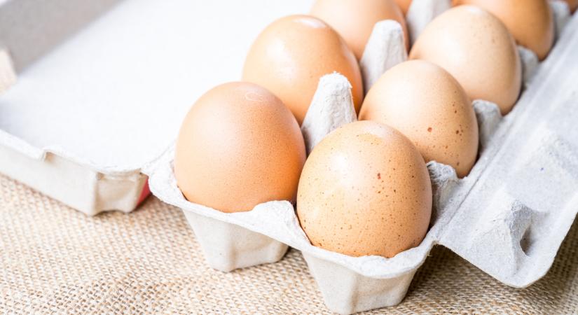 Rengeteg boltban van tojáshiány: nincs elég áru, mi lesz így az emberekkel?