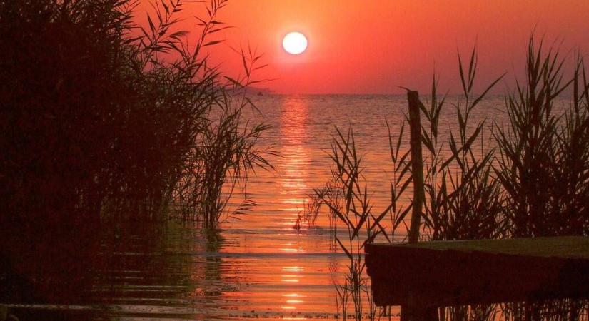 Kegyetlen ragadozó bukkant fel Magyarországon, a Balaton felé indult el