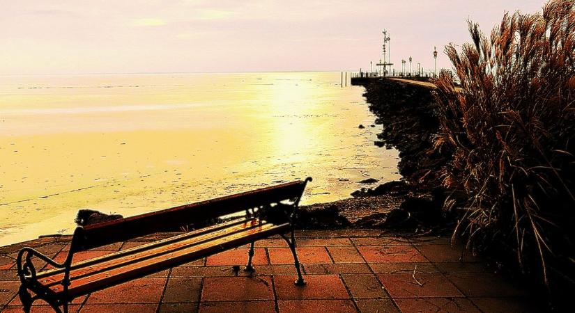 Rianást és vadkacsákat fotóztunk a györöki mólónál – a Balaton ilyen is! (galéria)