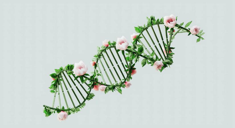 Újabb járványhelyzet! Ezek a kórokozók fenyegethetik az életedet