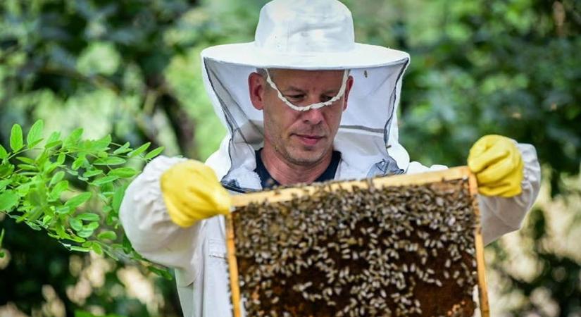 Hoppá: már Lengyelországban is Magyar Péter legrosszabb rémálmáról írnak