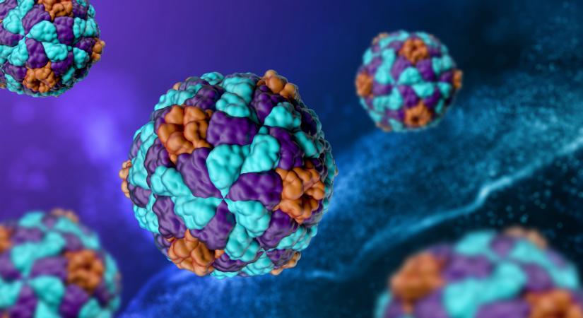 Megszólalt Kemenesi Gábor a halálos Nipah-vírusról: kiderült, Magyarországon is lecsaphat-e a rettegett kór