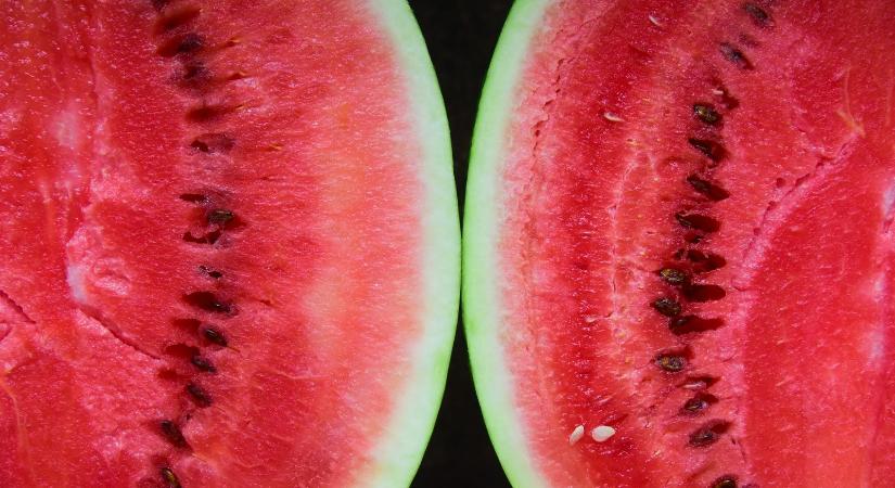 Tóth Réka Ágnes verse