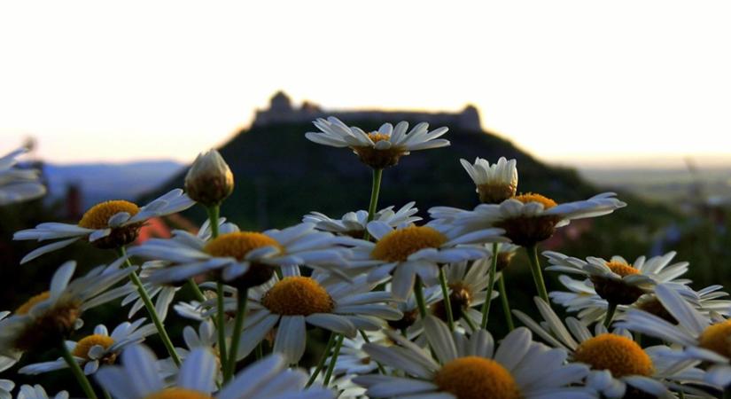 Télűző vigadalom busókkal és jókedvvel Sümegen