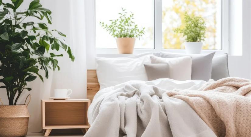 Ezeket a házi praktikákat vesd be poratka ellen