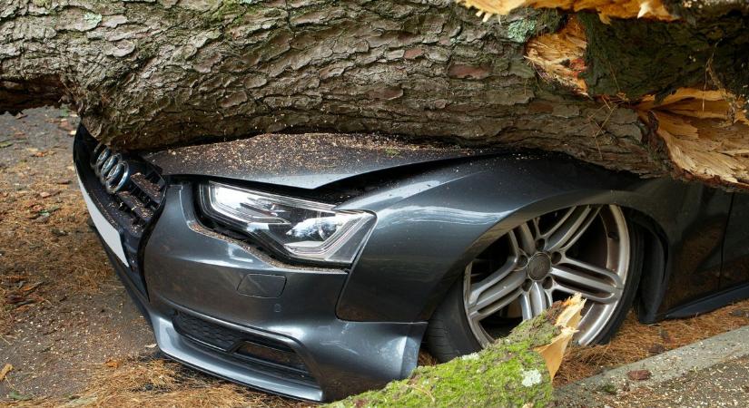 Bőven akadt dolguk a tűzoltóknak: szikrák, lángok, karosszériareccsenések, levegőben lógó faág ( helyszíni fotó)