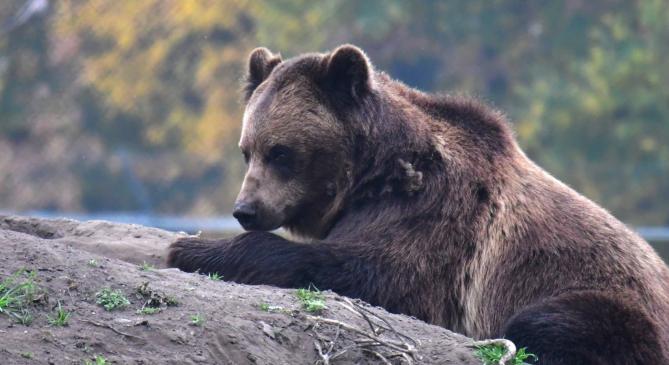 A népi hiedelem szerint már nem tart sokáig a tél