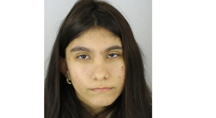 Eltűnt egy 15 éves lány! Látta őt?