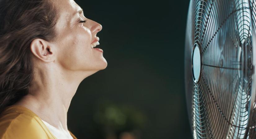 A kínai orvoslás szerint ez lehet az éjszakai hőhullámok ellenszere