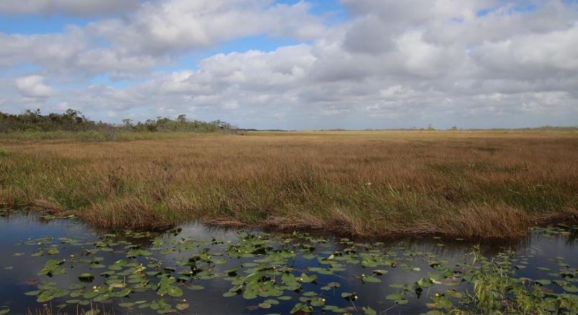 Eltűnhetnek a vizes élőhelyeink – a múlt tudása az utolsó esélyünk
