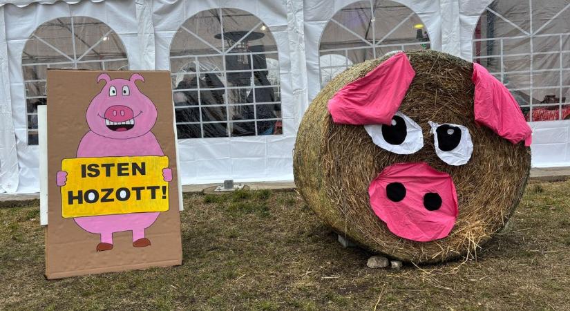 Sikerrel rendezték meg a II. Sárszentágotai Disznótort