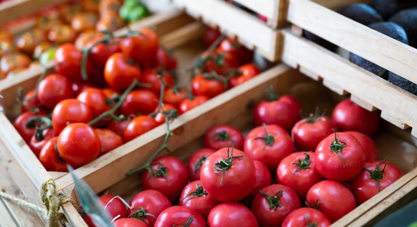 Visszaadják a pénzt az elégedetlen vevőknek, új rendszert vezet be az Aldi