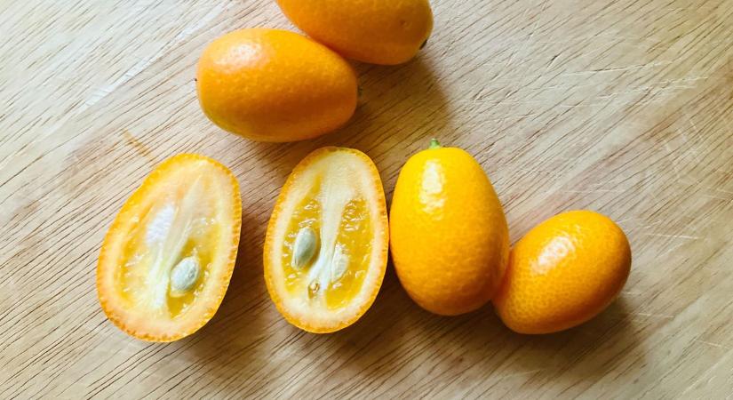 Mi az a kumquat - eszik vagy isszák? Megkóstoltuk!