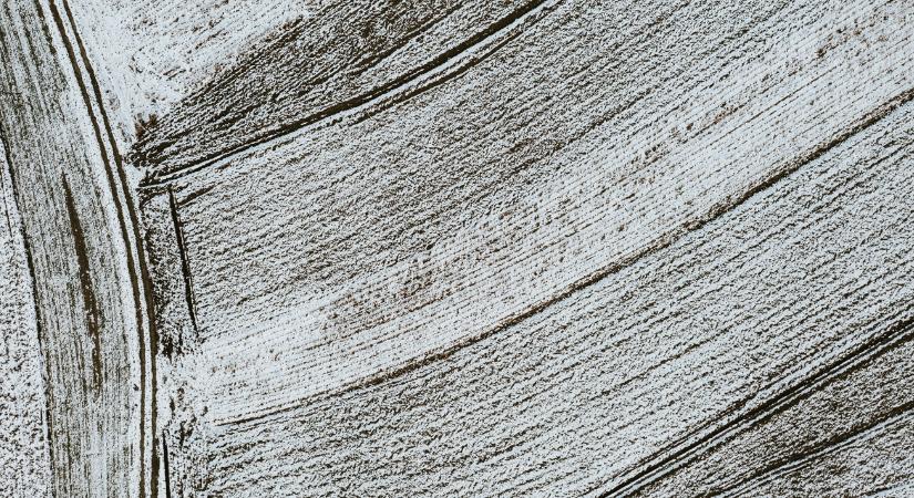 Így teheti tönkre a fagy a gabonát: mutatjuk a kritikus hőmérsékleti határokat