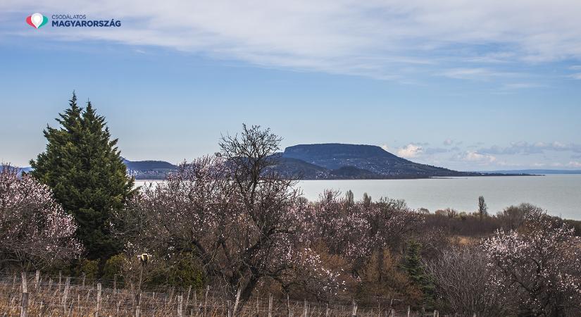 Március 15-i ünnepi megemlékezés 2026 Balatongyörök