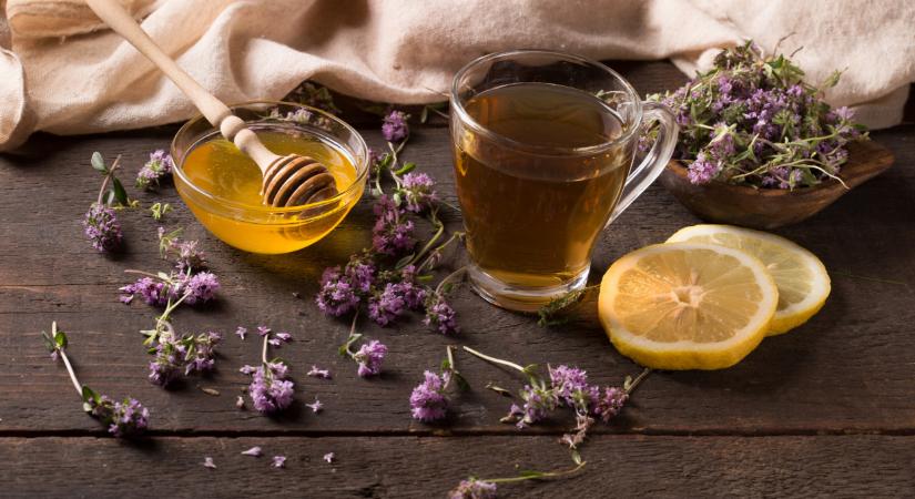 Íme, dédanyáink titkos varázsköptetője: fillérekből készíthetsz csodaszert a 2026. év gyógynövényéből