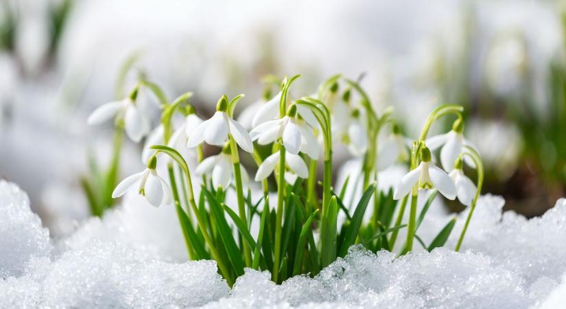 Drasztikus fordulat jön az időjárásban: két nap alatt lesz télből tavasz