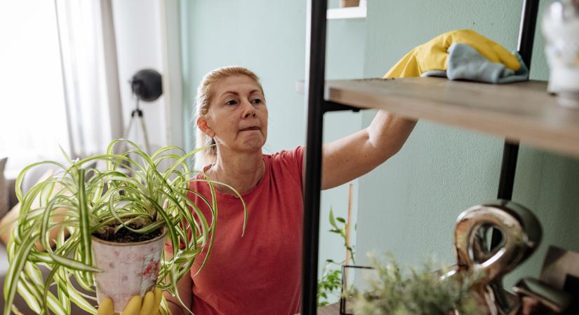 Ezért nincs por a japán otthonokban – a módszer meglepően egyszerű