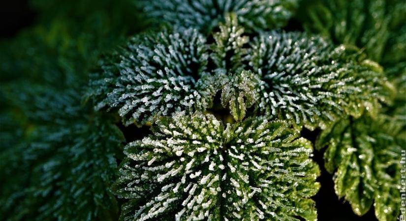 Balázs, Dorottya, Bálint elmondja milyen idő lesz februárban